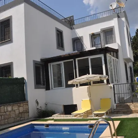 Limon Agaci Villa *