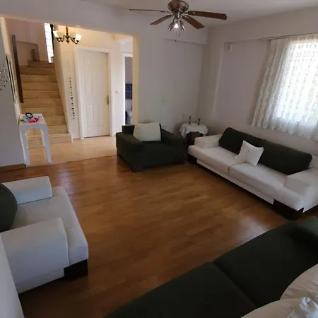 Willa Limon Agaci *